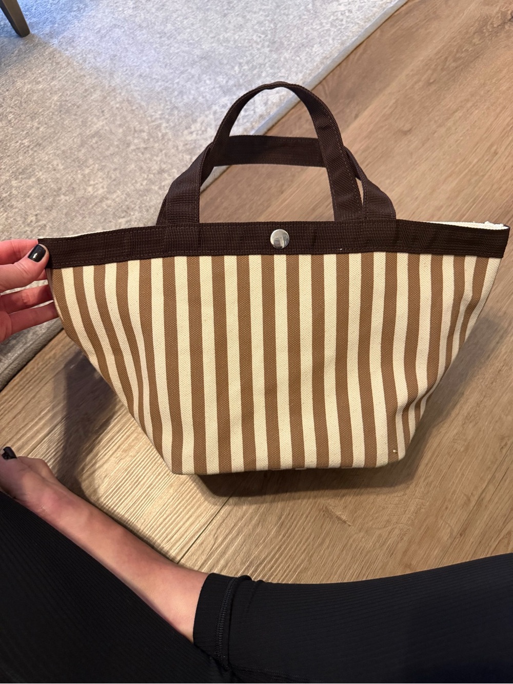 KULE Canvas Stripe Mini Tote Bag in Brown and Cream